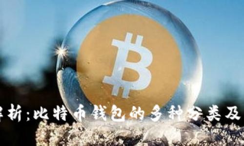 标题
全面解析：比特币钱包的多种分类及其特点