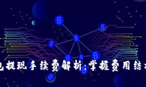 比特币钱包提现手续费解析：掌握费用结构高效理财