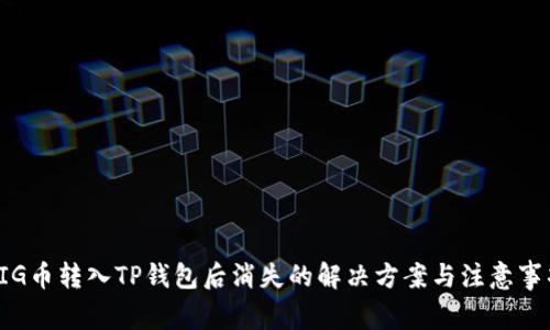 PIG币转入TP钱包后消失的解决方案与注意事项