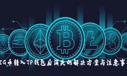 PIG币转入TP钱包后消失的解决方案与注意事项