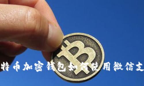 比特币加密钱包如何使用微信支付