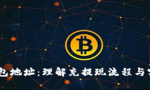 USDT钱包地址：理解充提现流程与实用技巧