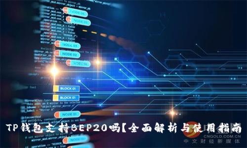 TP钱包支持BEP20吗？全面解析与使用指南