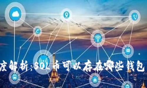 深度解析：SOL币可以存在哪些钱包里？