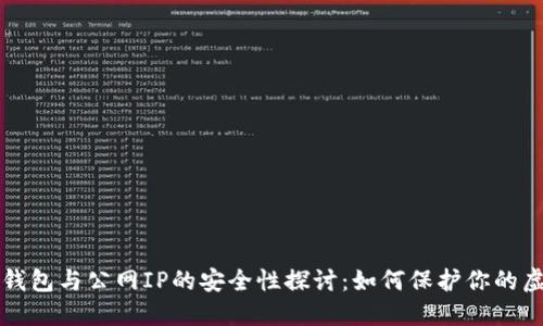 比特币钱包与公网IP的安全性探讨：如何保护你的虚拟资产