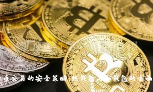 比特币交易的安全策略：热钱包与冷钱包的全面解析