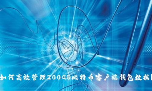 如何高效管理200GB比特币客户端钱包数据？