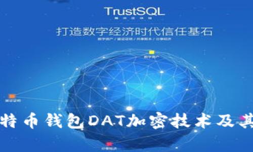 全面解读比特币钱包DAT加密技术及其安全性分析