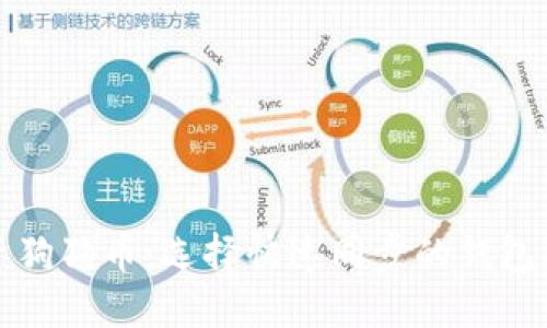 投资狗狗币：选择快速同步的钱包指南