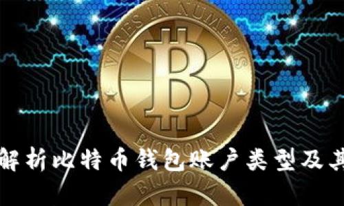 全面解析比特币钱包账户类型及其特点