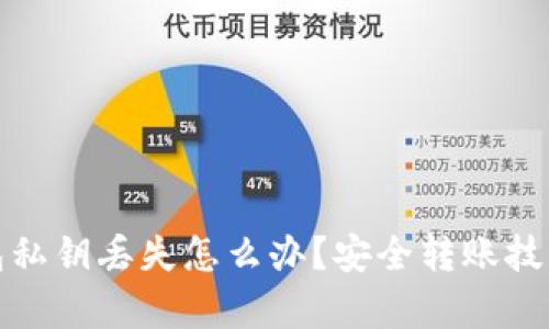 : tp钱包私钥丢失怎么办？安全转账技巧全解析