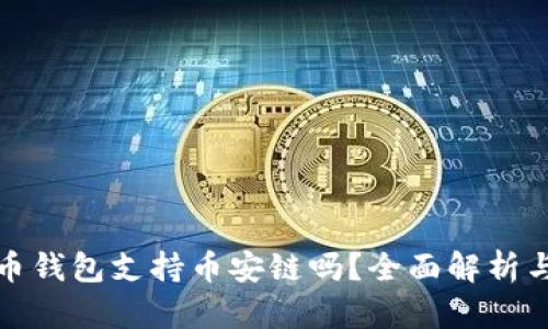 比特币钱包支持币安链吗？全面解析与比较