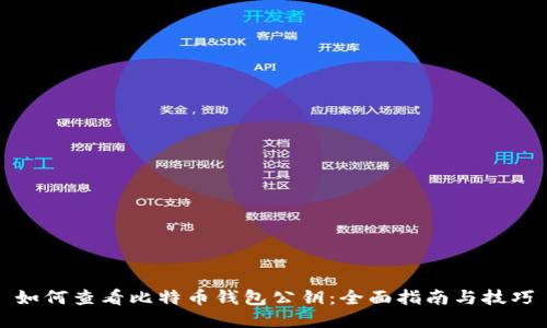 如何查看比特币钱包公钥：全面指南与技巧