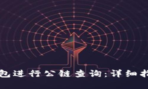 如何使用TP钱包进行公链查询：详细指南与实用技巧