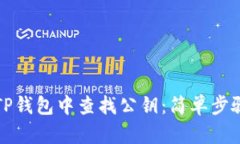 如何在TP钱包中查找公钥：