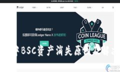 TP钱包中BSC资产消失原因及解决方法