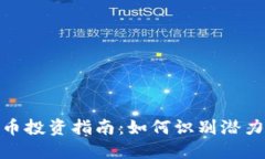 TP钱包未上市币投资指南：
