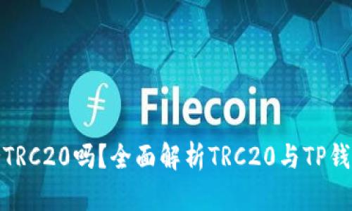 TP钱包支持TRC20吗？全面解析TRC20与TP钱包的兼容性