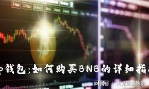 tp钱包：如何购买BNB的详细指南