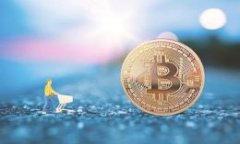   如何安全管理TP钱包地址，保障你的加密资产