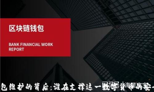 
比特币钱包维护的背后：谁在支撑这一数字货币的安全与稳定？