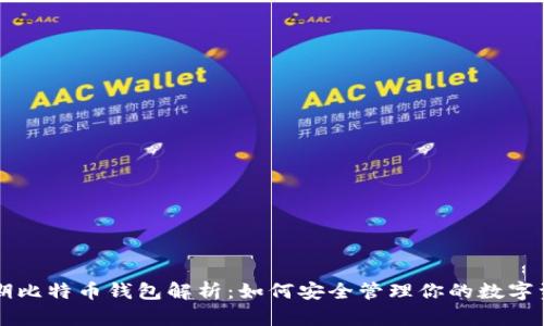 早期比特币钱包解析：如何安全管理你的数字资产