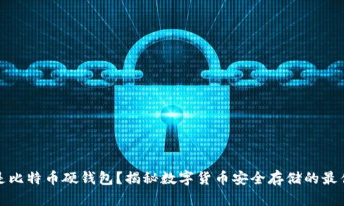 什么是比特币硬钱包？揭秘数字货币安全存储的最佳方案