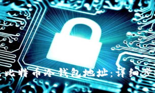 如何安全导出比特币冷钱包地址：详细步骤与注意事项