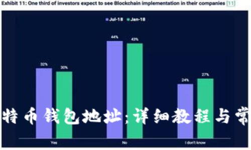 如何创建比特币钱包地址：详细教程与常见问题解答