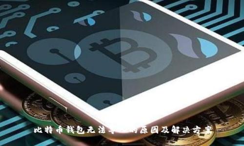 比特币钱包无法导入的原因及解决方案