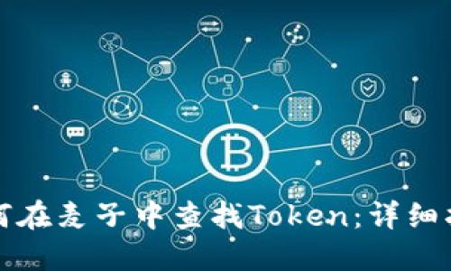 如何在麦子中查找Token：详细指南